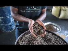 Load and play video in Gallery viewer, Haitian Black Castor Oil (4oz) | Peppermint